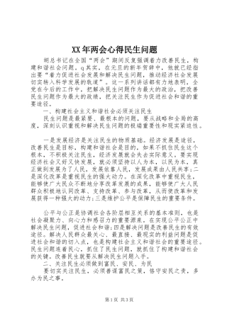 XX年两会心得民生问题
