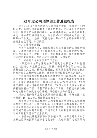 XX年度公司预算部工作总结报告 