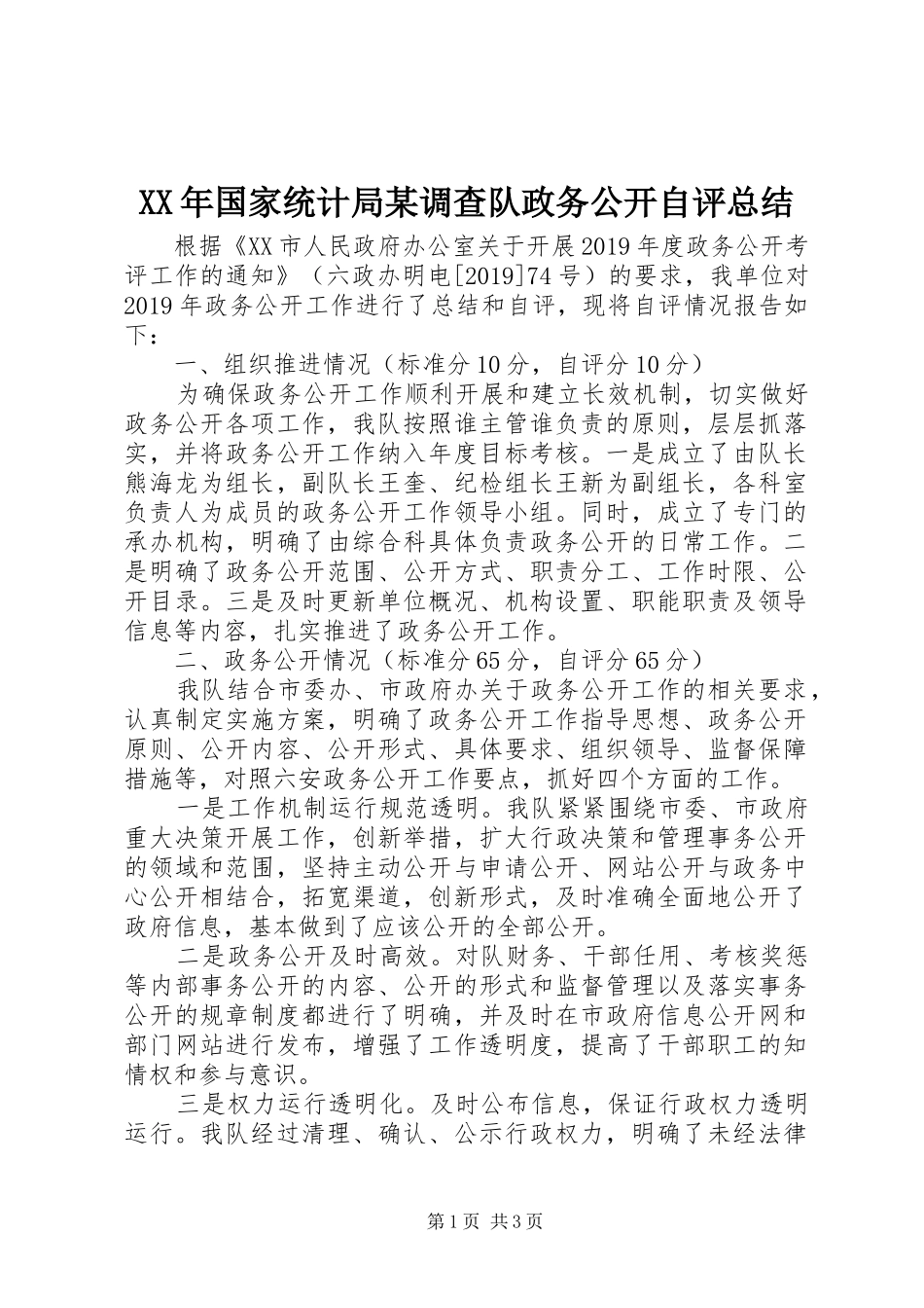 XX年国家统计局某调查队政务公开自评总结 _第1页