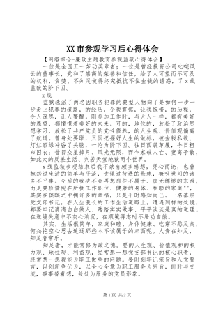 XX市参观学习后体会心得