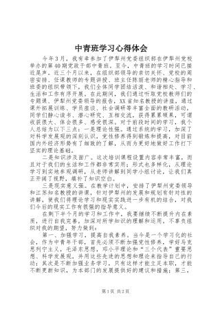 中青班学习体会心得3