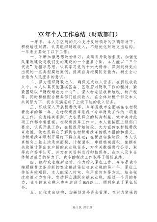 XX年个人工作总结（财政部门） 