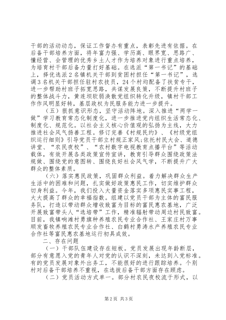 XX年度党建工作情况总结 _第2页