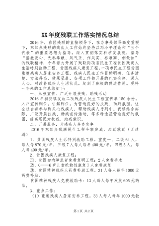 XX年度残联工作落实情况总结 