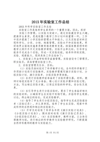 202X年实验室工作总结