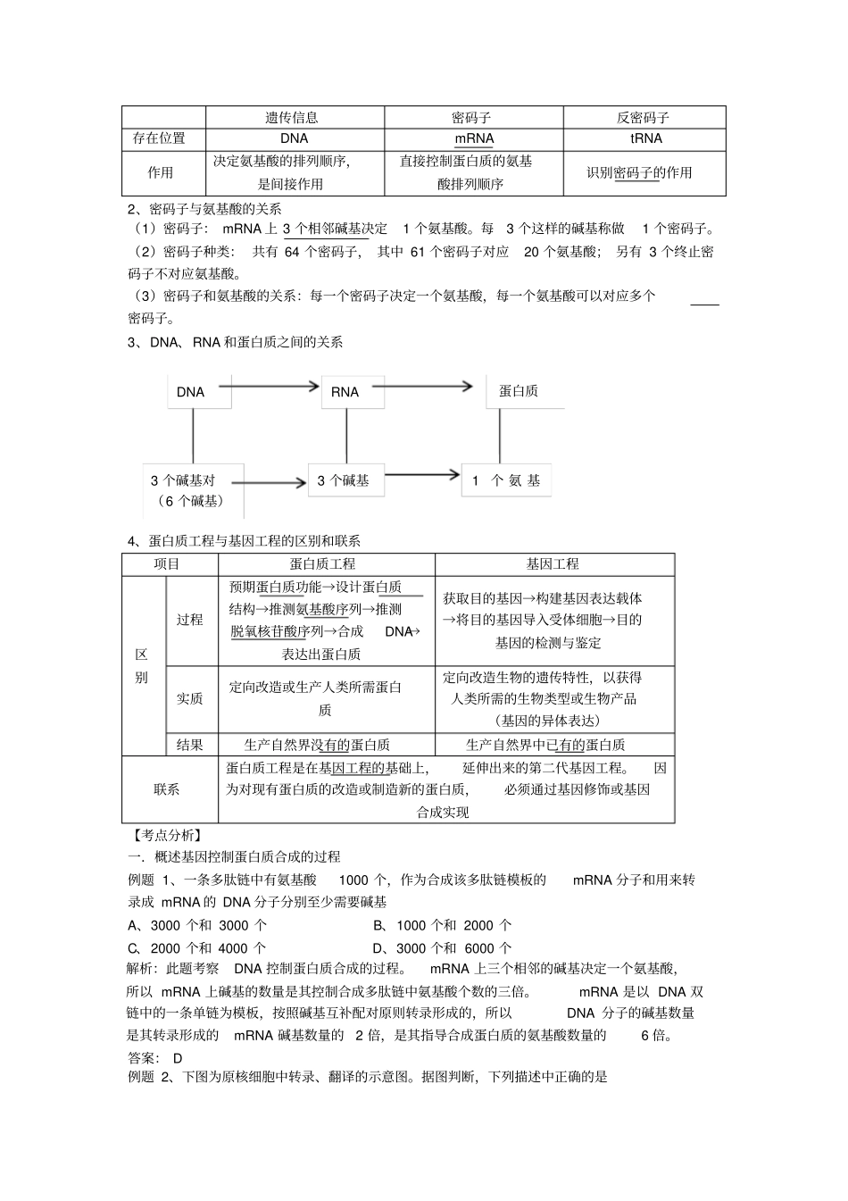 基因对于蛋白质合成的控制_第2页