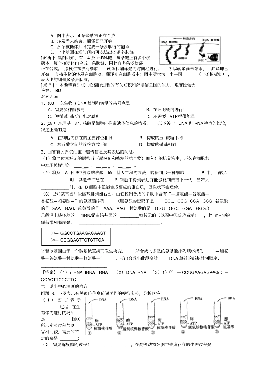 基因对于蛋白质合成的控制_第3页