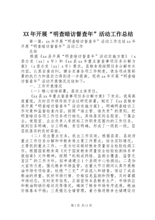 XX年开展“明查暗访督查年”活动工作总结 