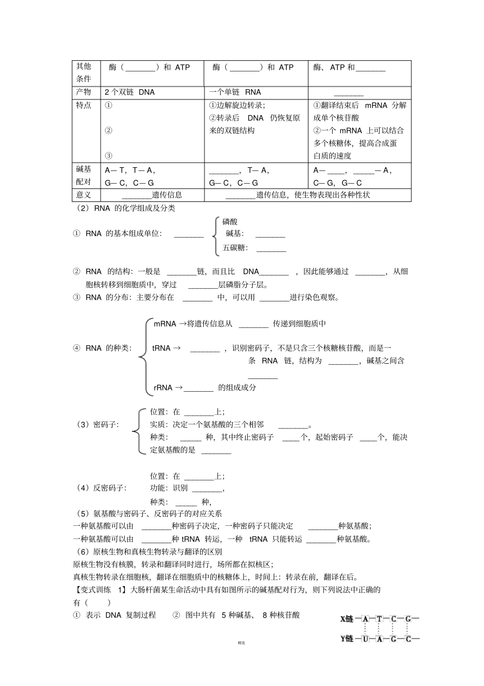 基因的表达--一轮复习学案_第2页