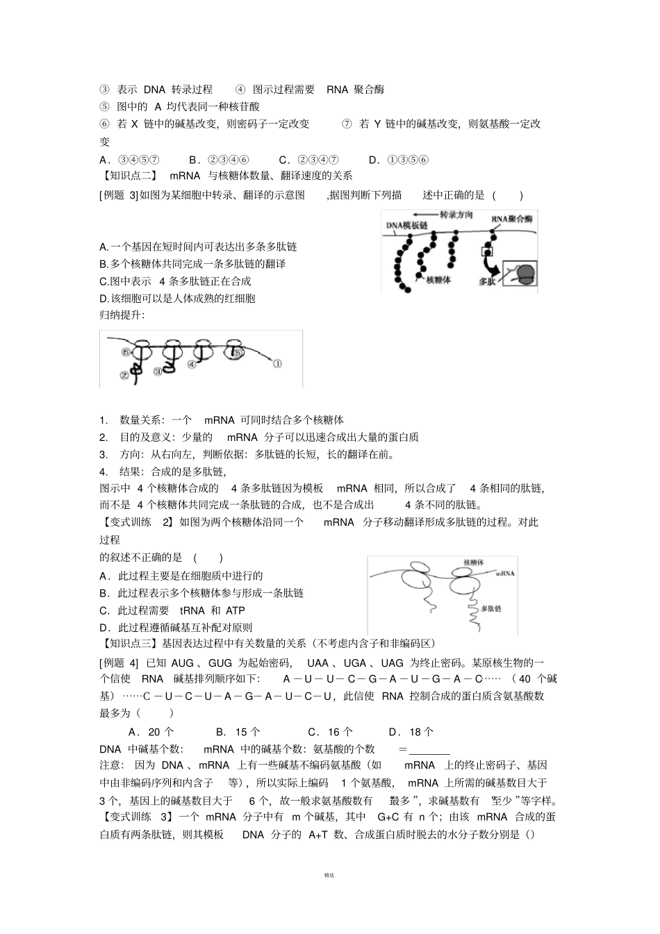 基因的表达--一轮复习学案_第3页