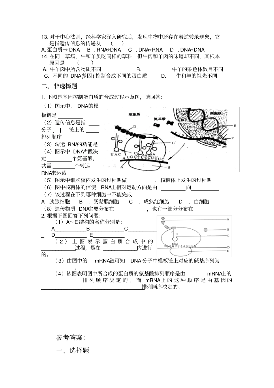 基因的表达测试题_第2页