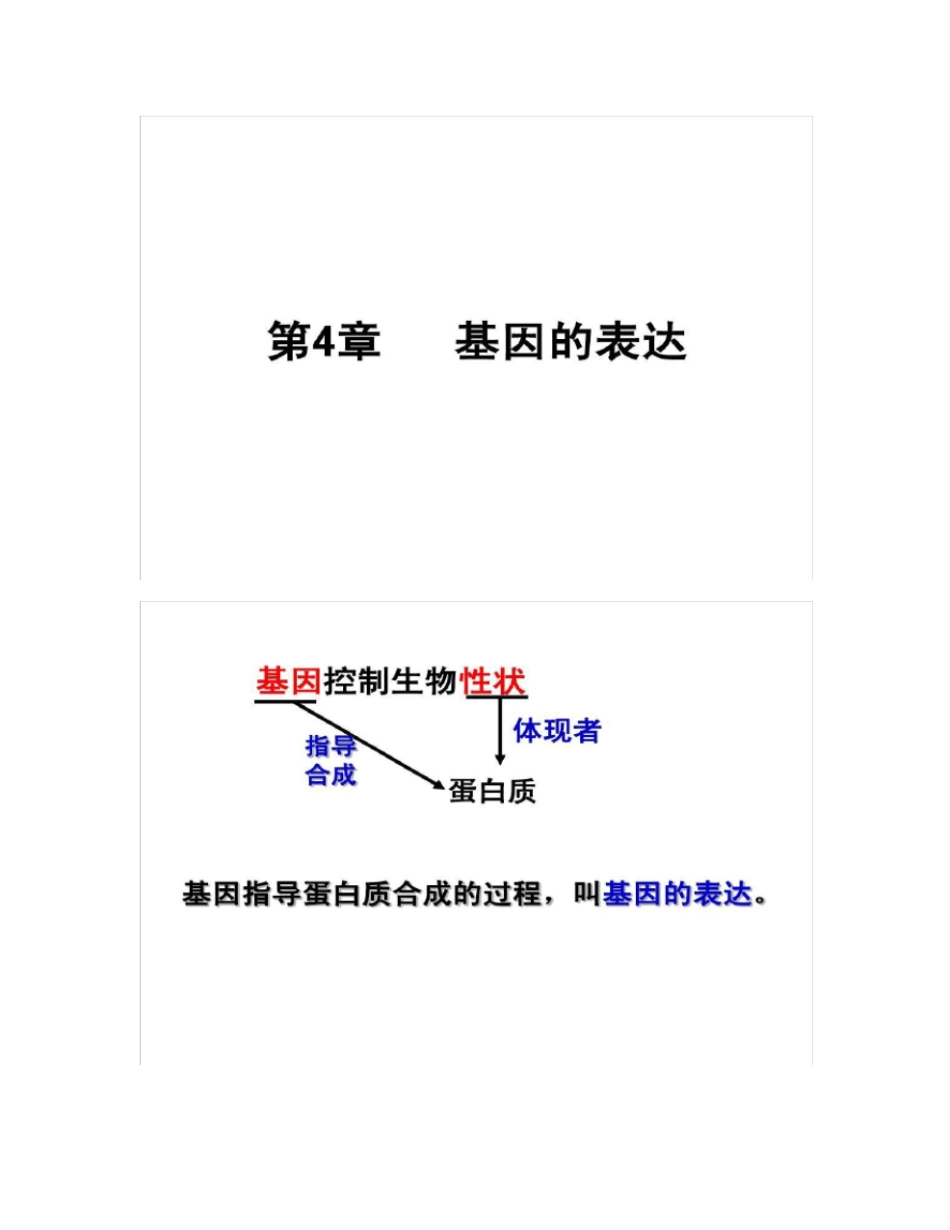 基因指导蛋白质的合成高考第一轮复习_第1页