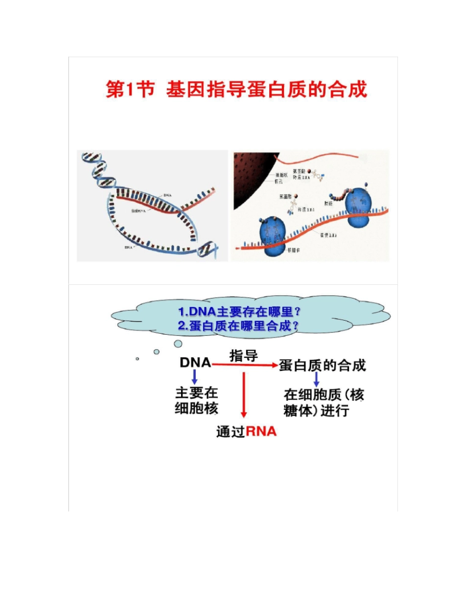 基因指导蛋白质的合成高考第一轮复习_第2页