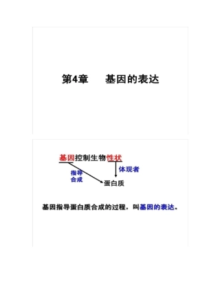 基因指导蛋白质的合成高考第一轮复习