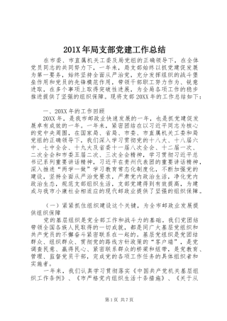 202X年局支部党建工作总结
