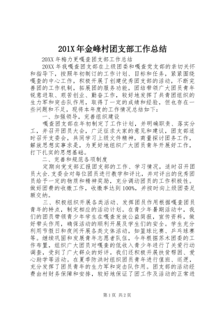 202X年金峰村团支部工作总结