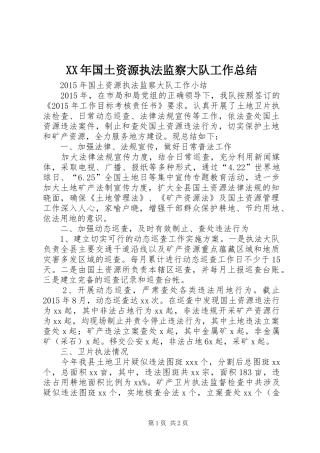 XX年国土资源执法监察大队工作总结 
