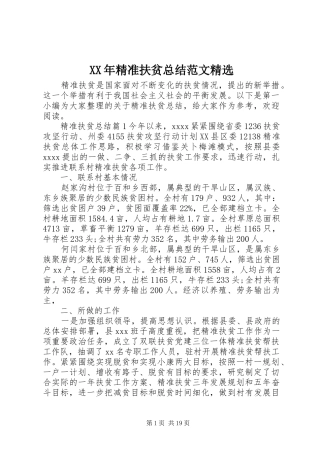 XX年精准扶贫总结范文精选 
