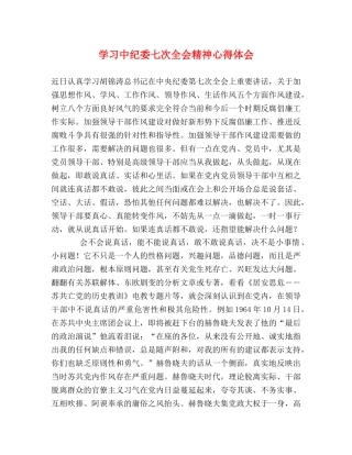 学习中纪委七次全会精神心得体会 (000002)