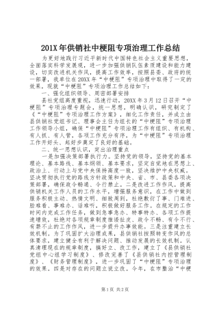 202X年供销社中梗阻专项治理工作总结