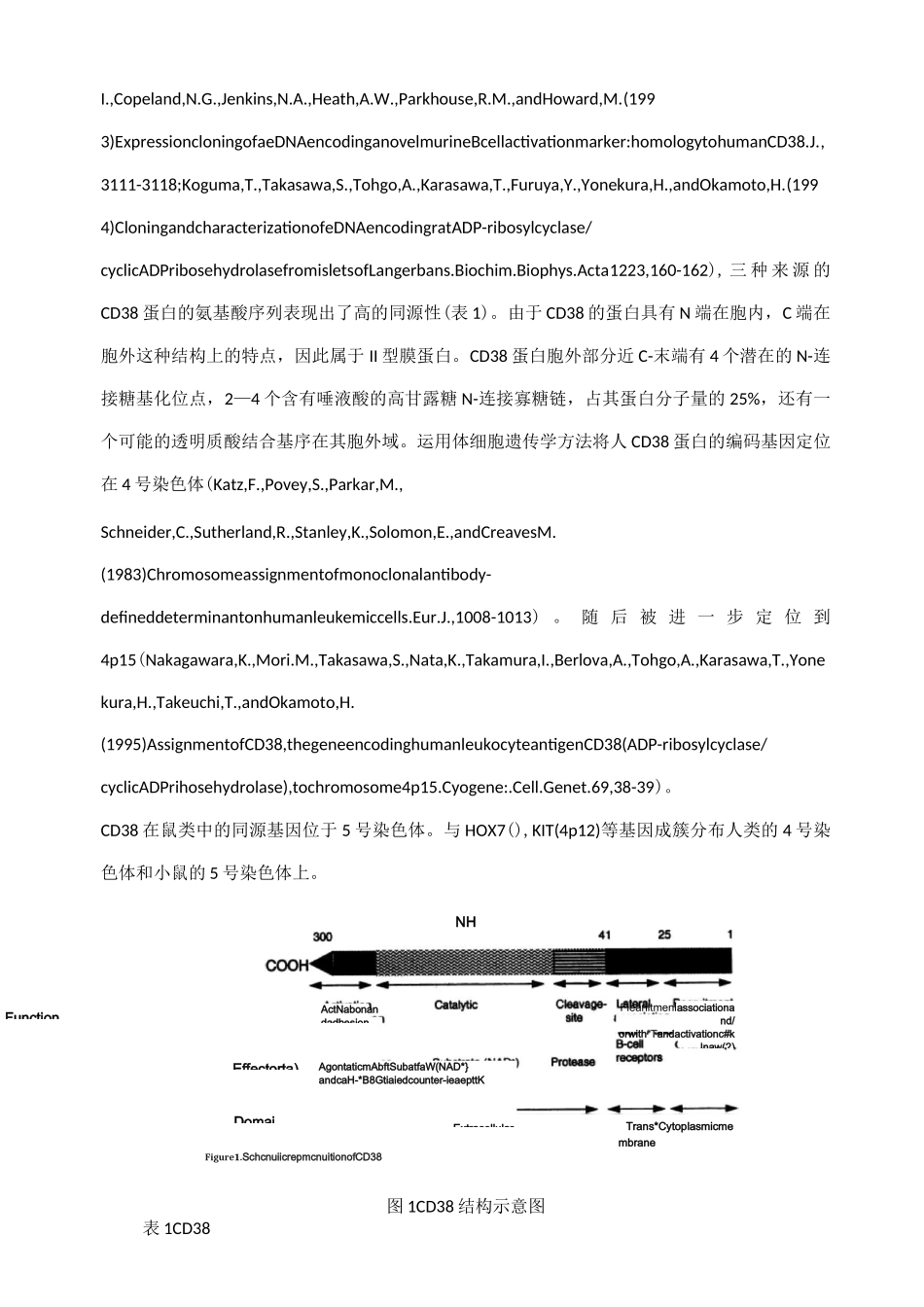 cd38综述_第2页