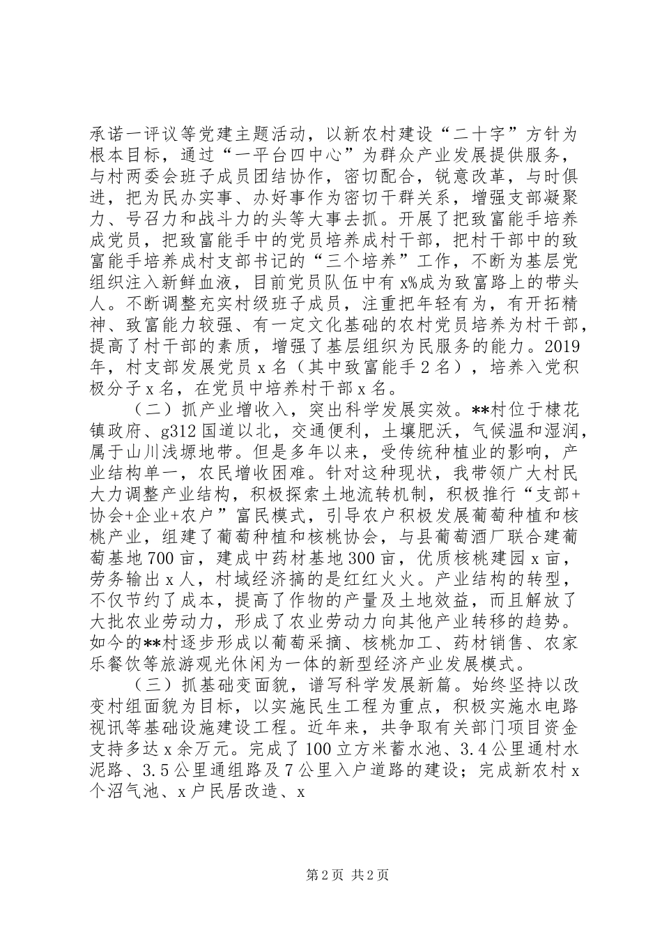 XX年度村党支部书记个人工作总结 _第2页