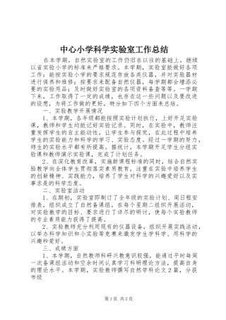 中心小学科学实验室工作总结 