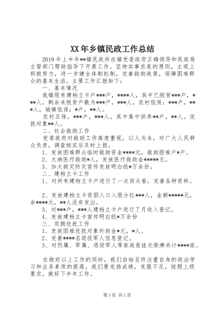 XX年乡镇民政工作总结 