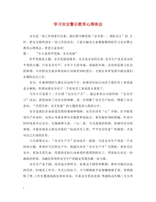 学习安全警示教育心得体会 