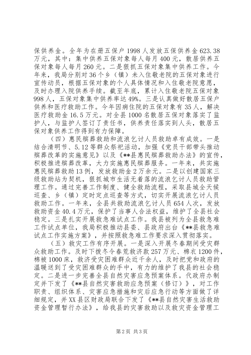 202X年度民政工作总结_第2页