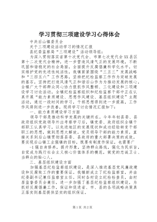 学习贯彻三项建设学习体会心得