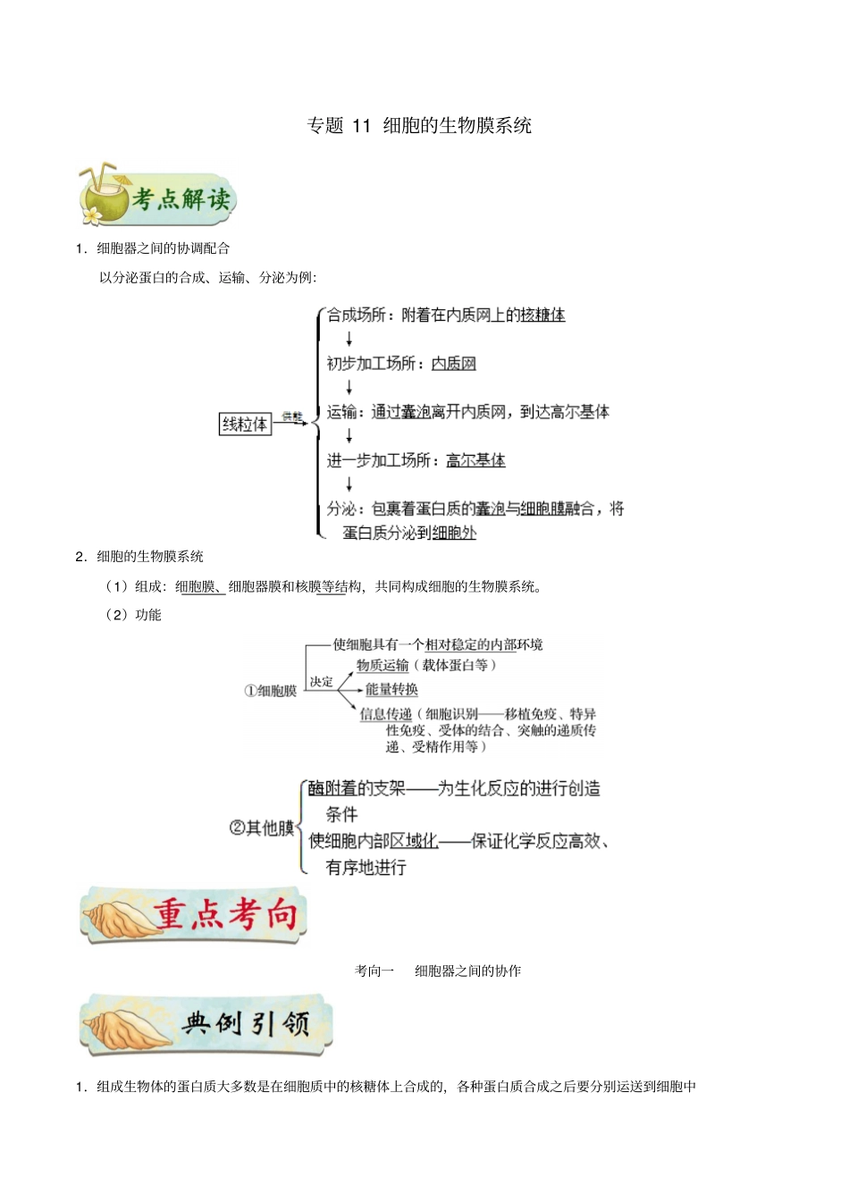 备战2019年高考生物考点训练：专题11细胞的生物训练题：膜系统含答案_第1页