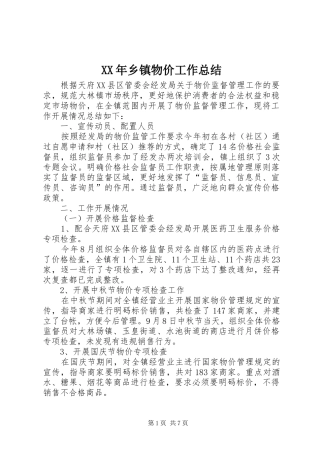 XX年乡镇物价工作总结 