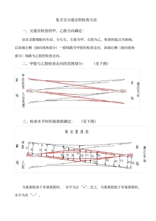 复式交分道岔的检查方法资料讲解