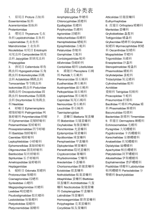 昆虫分类表汇总