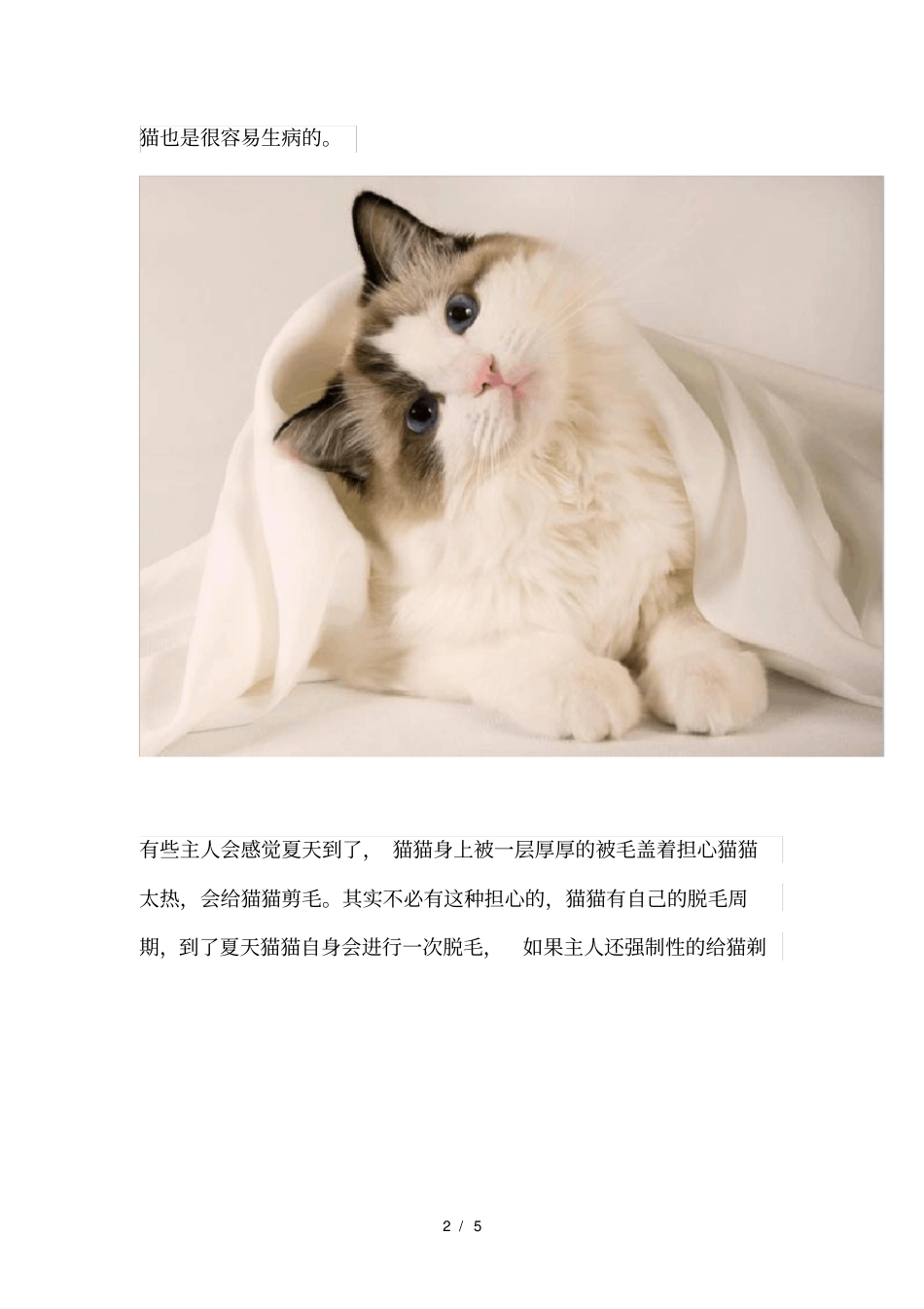 夏季养猫4大注意事项!_第2页
