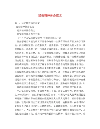 延安精神体会范文 (000001)