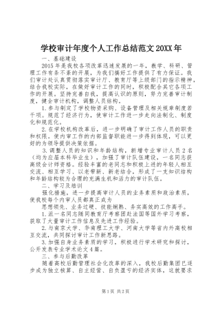 学校审计年度个人工作总结范文20XX年