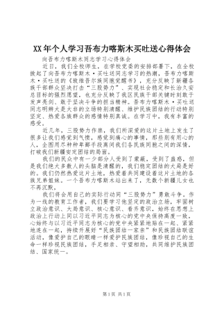 XX年个人学习吾布力喀斯木买吐送体会心得