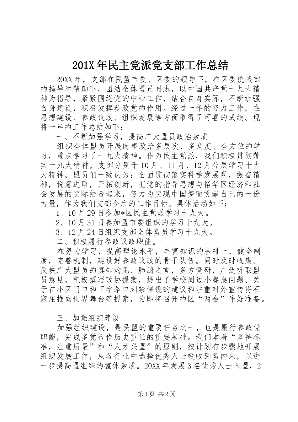 202X年民主党派党支部工作总结_第1页