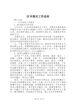 XX年救灾工作总结 