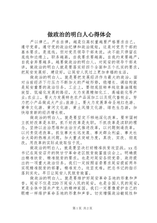 做政治的明白人体会心得