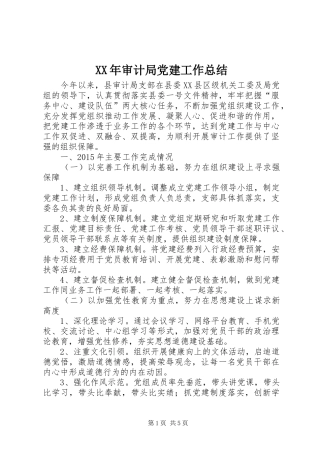 XX年审计局党建工作总结 