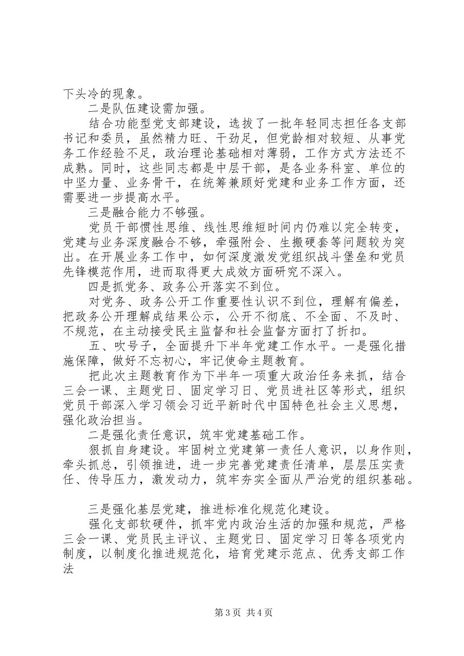 20某年党支部党建工作年度总结_第3页