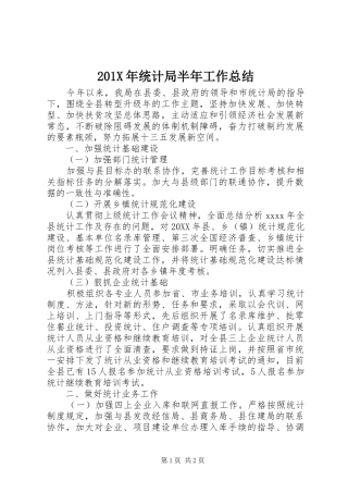 202X年统计局半年工作总结