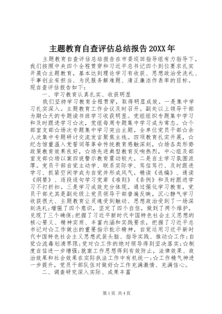 主题教育自查评估总结报告20XX年