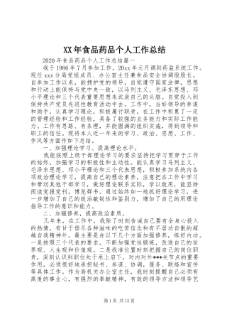 XX年食品药品个人工作总结 