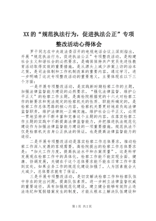 XX的“规范执法行为，促进执法公正”专项整改活动体会心得