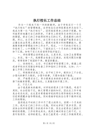 执行校长工作总结 