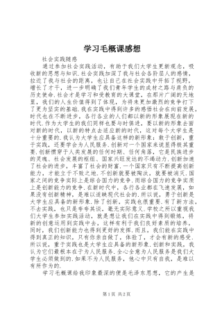 学习毛概课感想